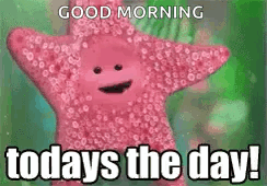 Pink Starfish Saying Good Morning