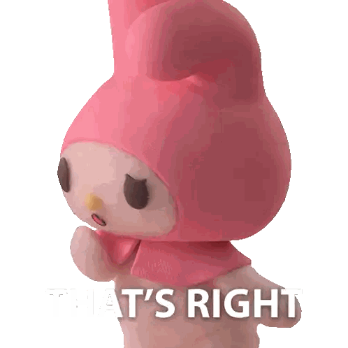Pink Stuffed Animal That s Right
