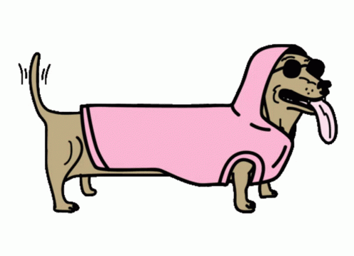 Pink Sweater Weather Doggy GIF