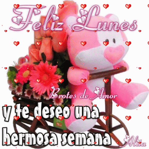 Pink Teddy Bear in Flower Cart Feliz Lunes