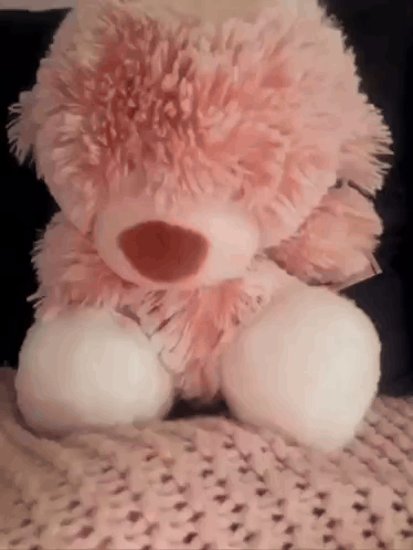 Pink Teddy Bear Sitting on Blanket on Bed