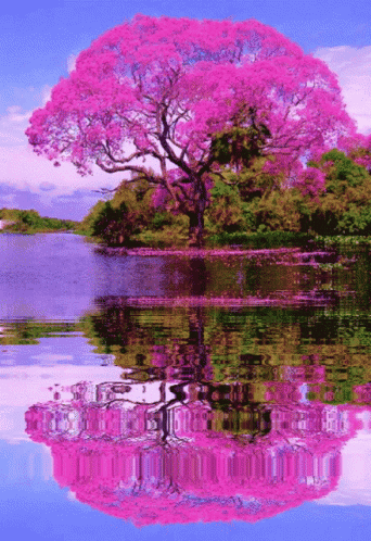 Pink Tree Reflecting in Lake
