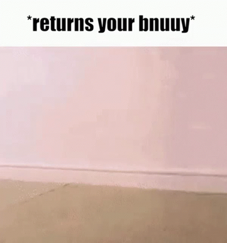 Pink Wall Returns Your Bnuuy GIF
