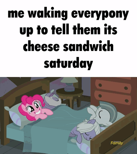 Pinkie Pie and Pony Laying in Bed