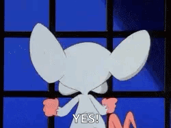 Pinky Aggressive Yes GIF