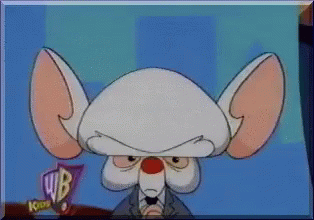 Pinky And The Brain Obey Brain Rules GIF