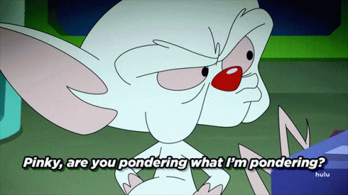 Pinky and the Brain Pondering What I'm Pondering
