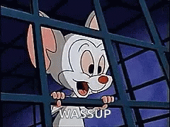 Pinky And The Brain Wassup Silly Face GIF