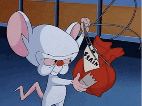Pinky Rummaging Bag Holding Globe Keychain GIF