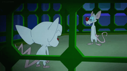 Pinky We're Taking The World GIF