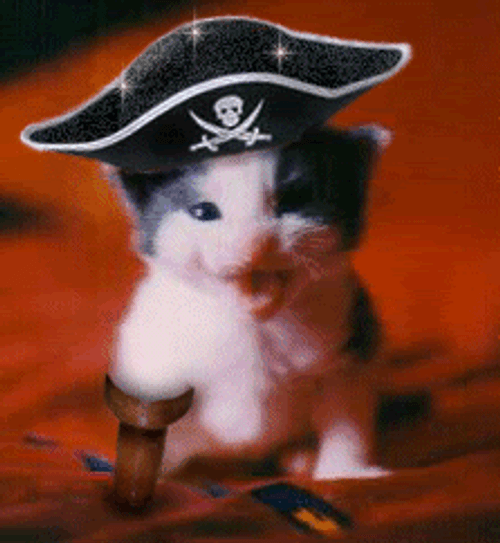 Pirate Cat Sparkling GIF