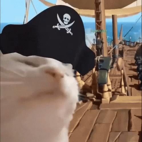Pirate Hat With Skull and Crossbones