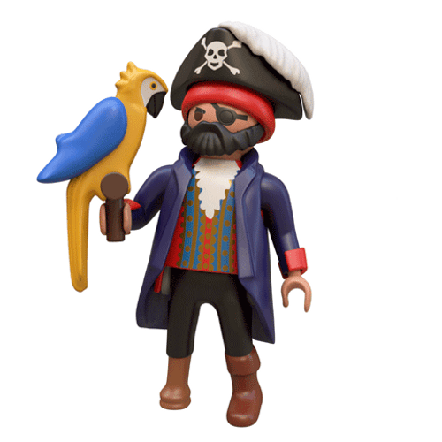 Pirate Talking To Parrot GIF