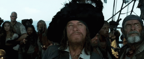Pirates Of The Caribbean Hector Barbossa Agreed GIF