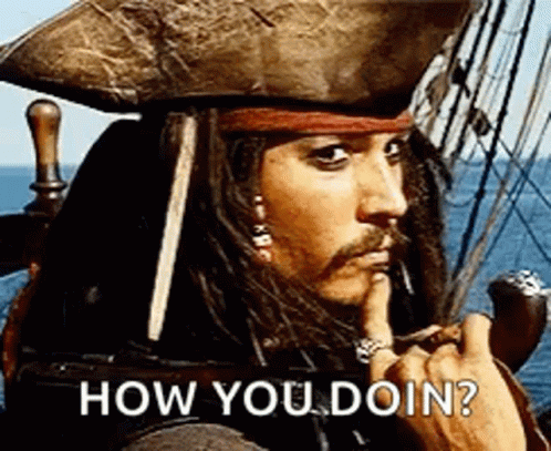 Pirates Of The Caribbean Sparrow How You Doing GIF