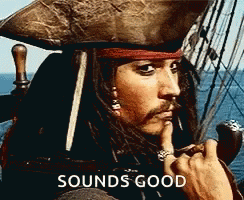 Pirates Of The Caribbean Sparrow Sounds Good GIF