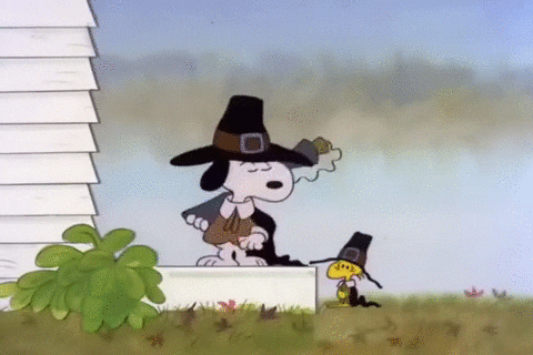 Pissed Off Peanuts Snoopy Thanksgiving GIF