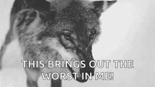 Pissed Off Wolfdog GIF