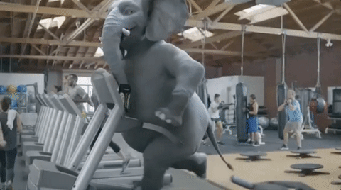 Pistachio Elephant Working Out GIF