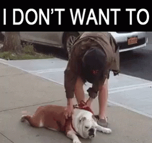 Pit Bull I Dont Wanna GIF