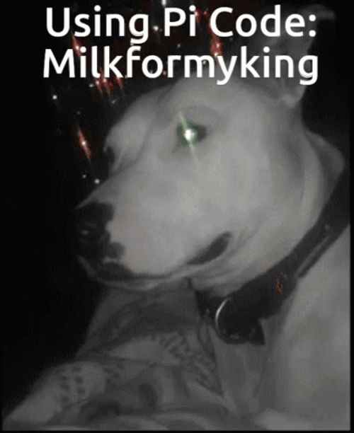 Pitbull Milk For My King GIF
