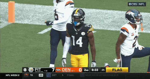 pittsburgh steelers football player # 14 stands on the field