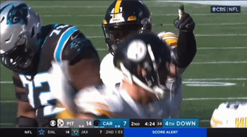 Pittsburgh vs Carolina Panthers Football Game
