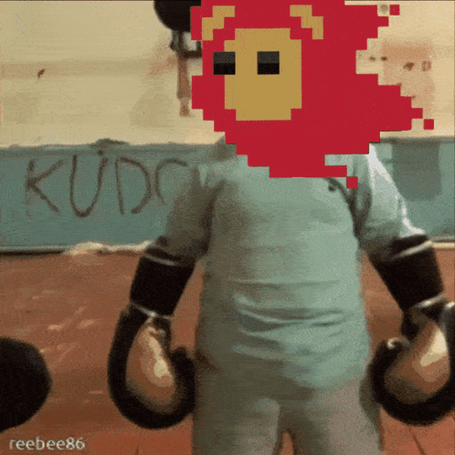 Pixel Art Boxer With Kudo Background