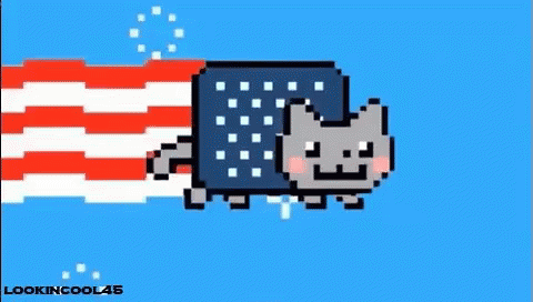 Pixel Art Cat Flying With American Flag