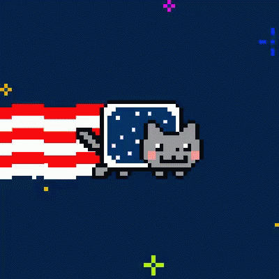 Pixel Art Cat with American Flag Background