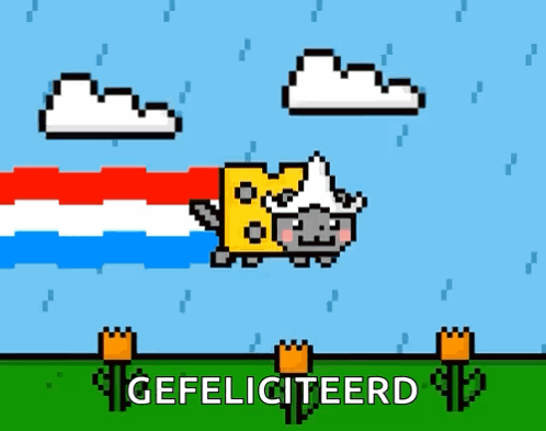 Pixel Art Cat With Cheese On Head Gefeliciteerd GIF
