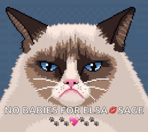 Pixel Art Grumpy Cat No Babies For Elsa Sage