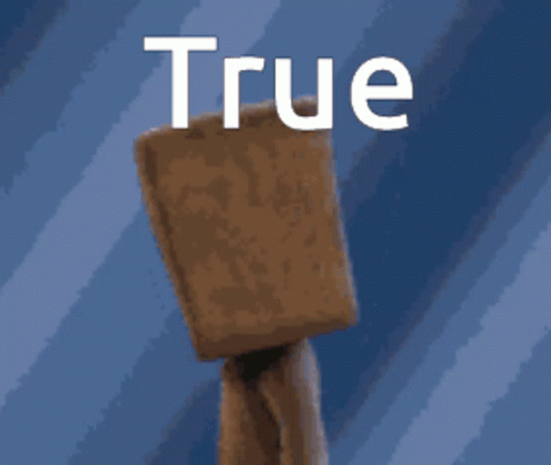Pixel Art Person With Box on Head Saying True