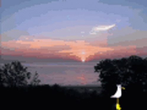 Pixel Art Sunset With Bird