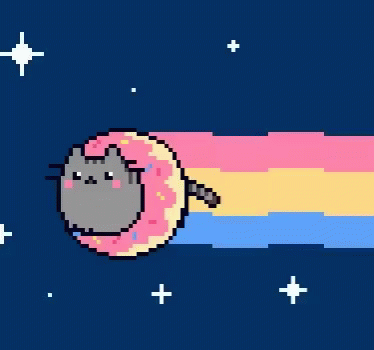 Pixel Cat in Donut with Rainbow