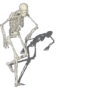 Pixel Skeleton With Shadow