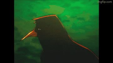Pixelated Bird With Ingflip.com GIF