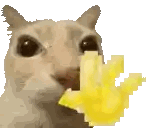 Pixelated Cat Eating French Fries