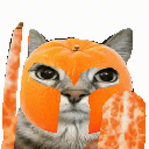 Pixelated Cat in Orange Pumpkin Mask