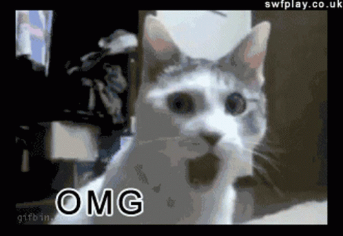 Pixelated Cat OMG