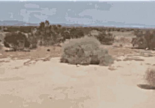 Pixelated Desert Landscape with Mountains