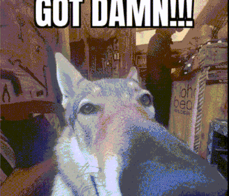 Pixelated Dog Saying Got Damn