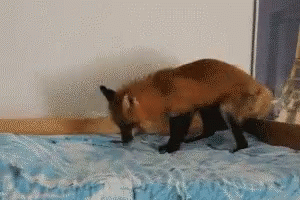 Pixelated Fox Crawling on Bed