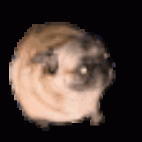 Pixelated Pug Dancing Dog GIF