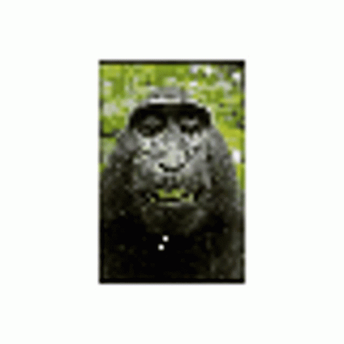 Pixelated Spinning Monkey Smirk GIF