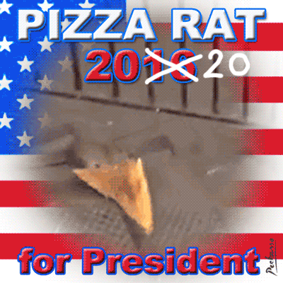 Pizza Rat Showering For President GIF