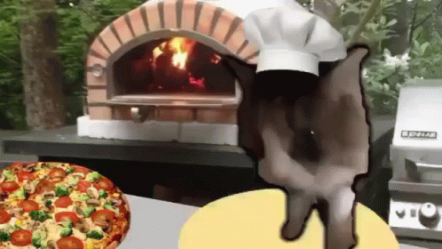 Pizza Time Cat Chef Baking GIF
