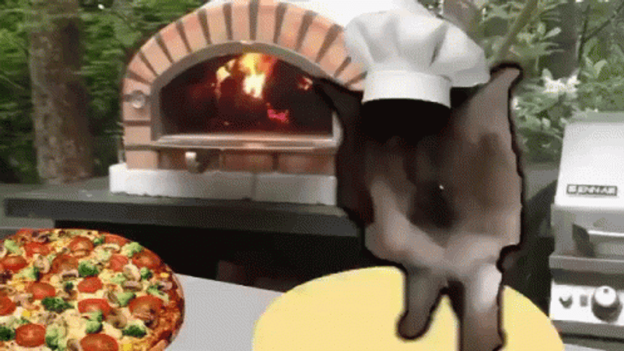Pizza Time Cat Chef Baking  GIF