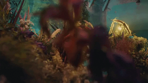 Place Of Magic Mystical Creatures Meme GIF