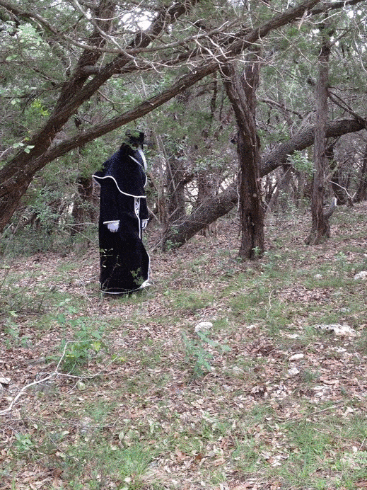 Plague Doctor Forest Walking GIF